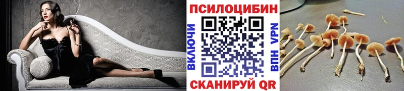 Псилоцибиновые грибы Psilocybine cubensis  Ильский 